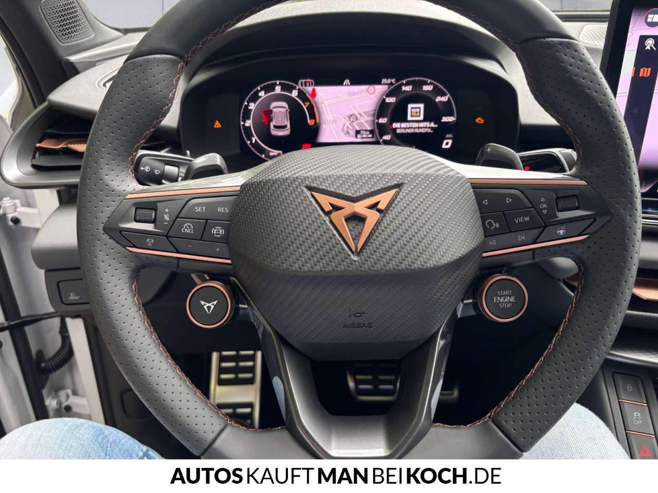 Fahrzeugbild eines CUPRA Terramar