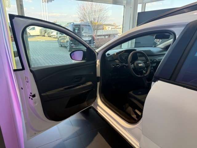 Fahrzeugbild eines Dacia Jogger