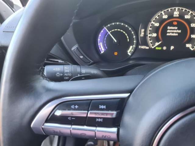 Fahrzeugbild eines Mazda MX-30