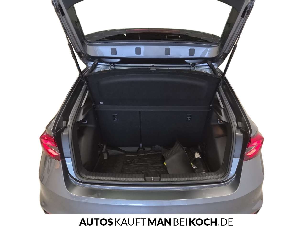 Fahrzeugbild eines Skoda Fabia