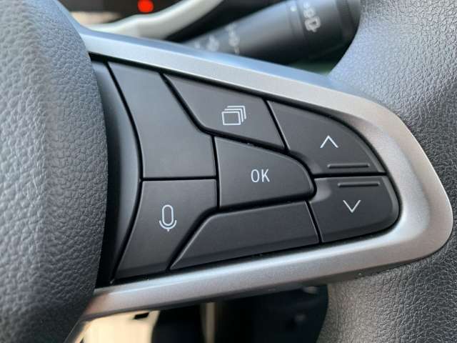 Fahrzeugbild eines Dacia Spring