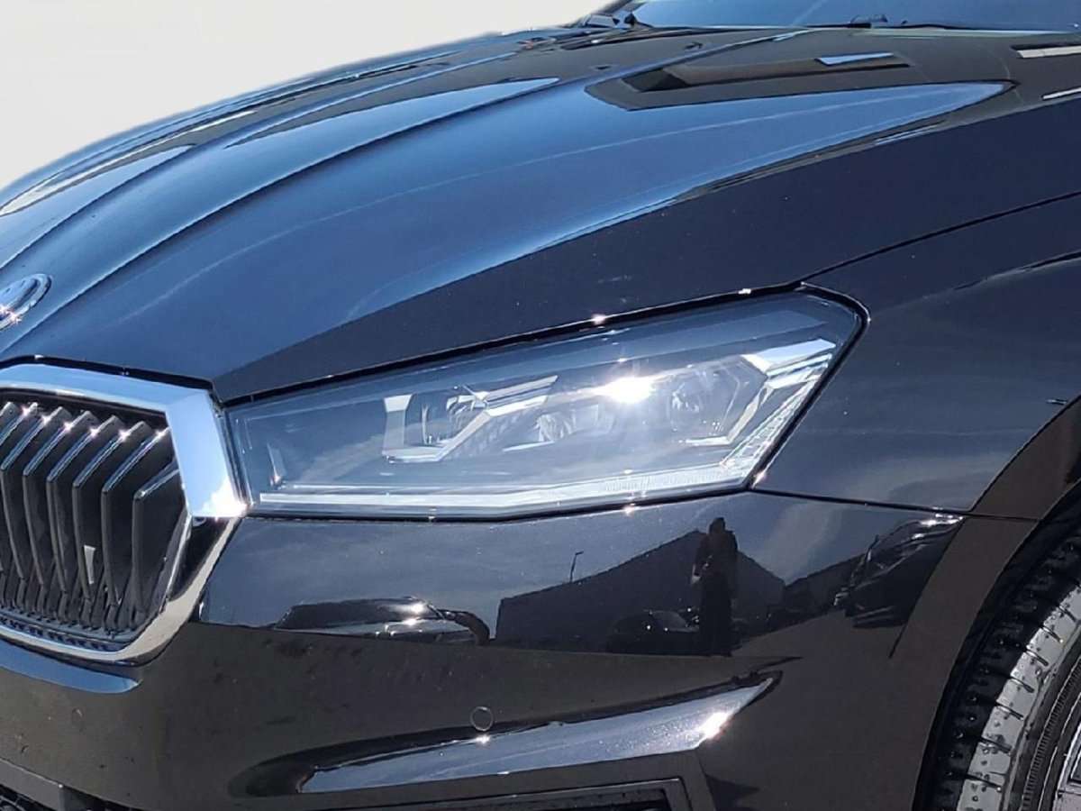 Fahrzeugbild eines Skoda Fabia