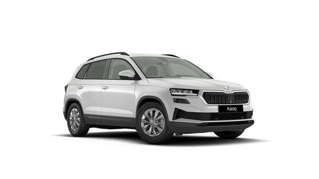 Fahrzeugbild eines Skoda Karoq