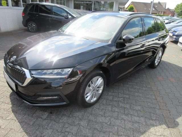 Fahrzeugbild eines Skoda Octavia