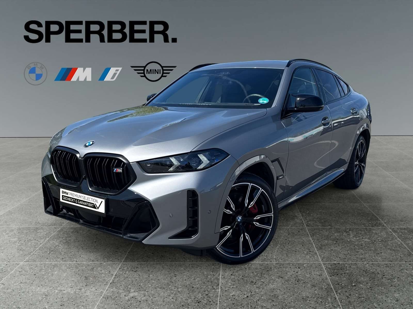 Fahrzeugbild eines BMW X6