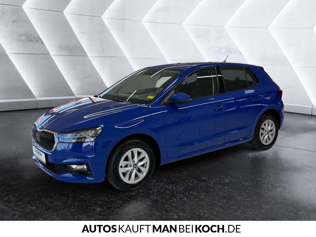 Fahrzeugbild eines Skoda Fabia