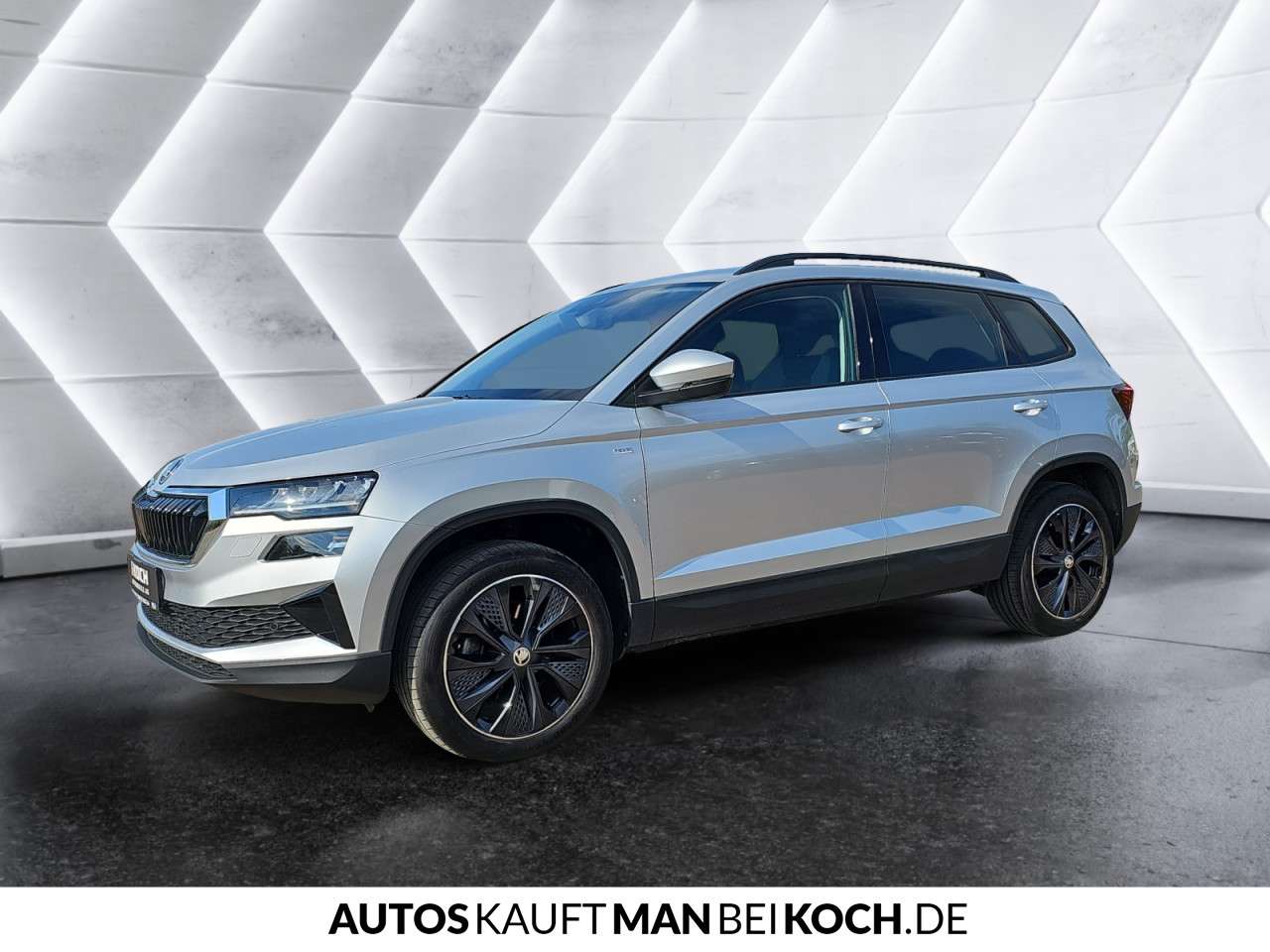Fahrzeugbild eines Skoda Karoq