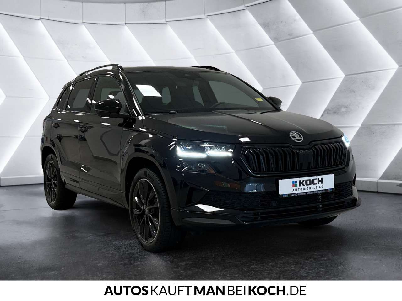 Fahrzeugbild eines Skoda Karoq