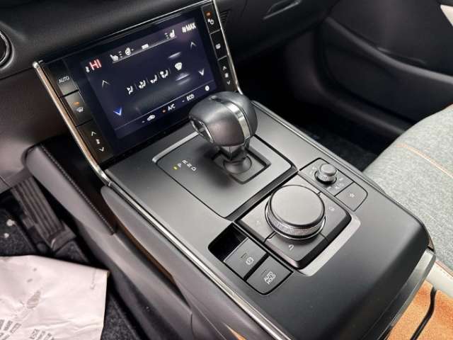 Fahrzeugbild eines Mazda MX-30