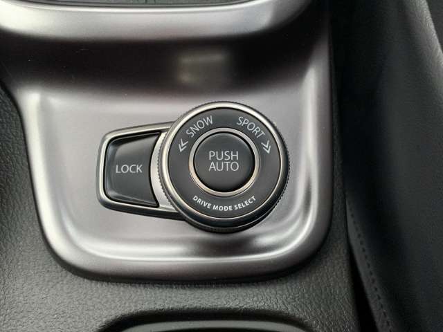 Fahrzeugbild eines Suzuki Vitara