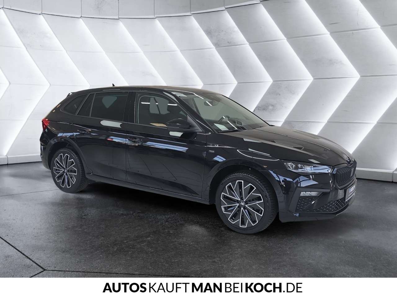 Fahrzeugbild eines Skoda Scala