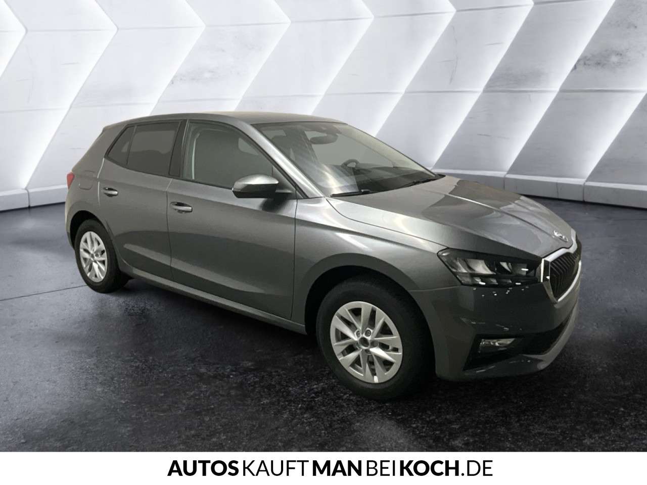 Fahrzeugbild eines Skoda Fabia