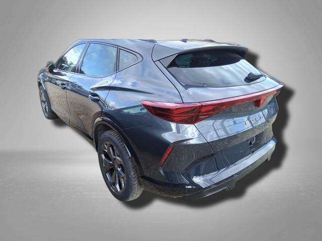 Fahrzeugbild eines CUPRA Formentor