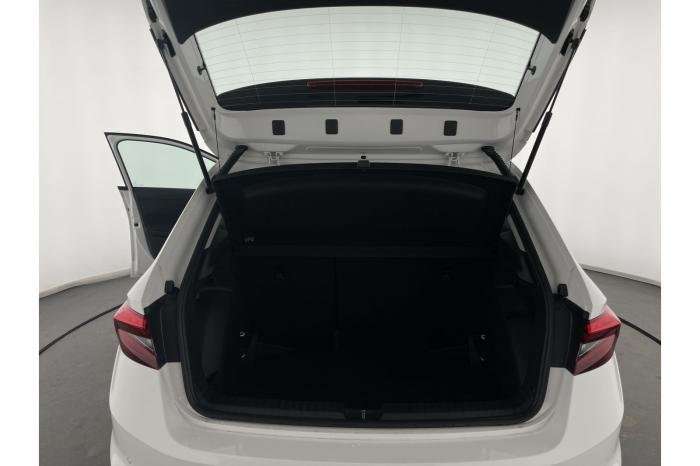 Fahrzeugbild eines Skoda Fabia