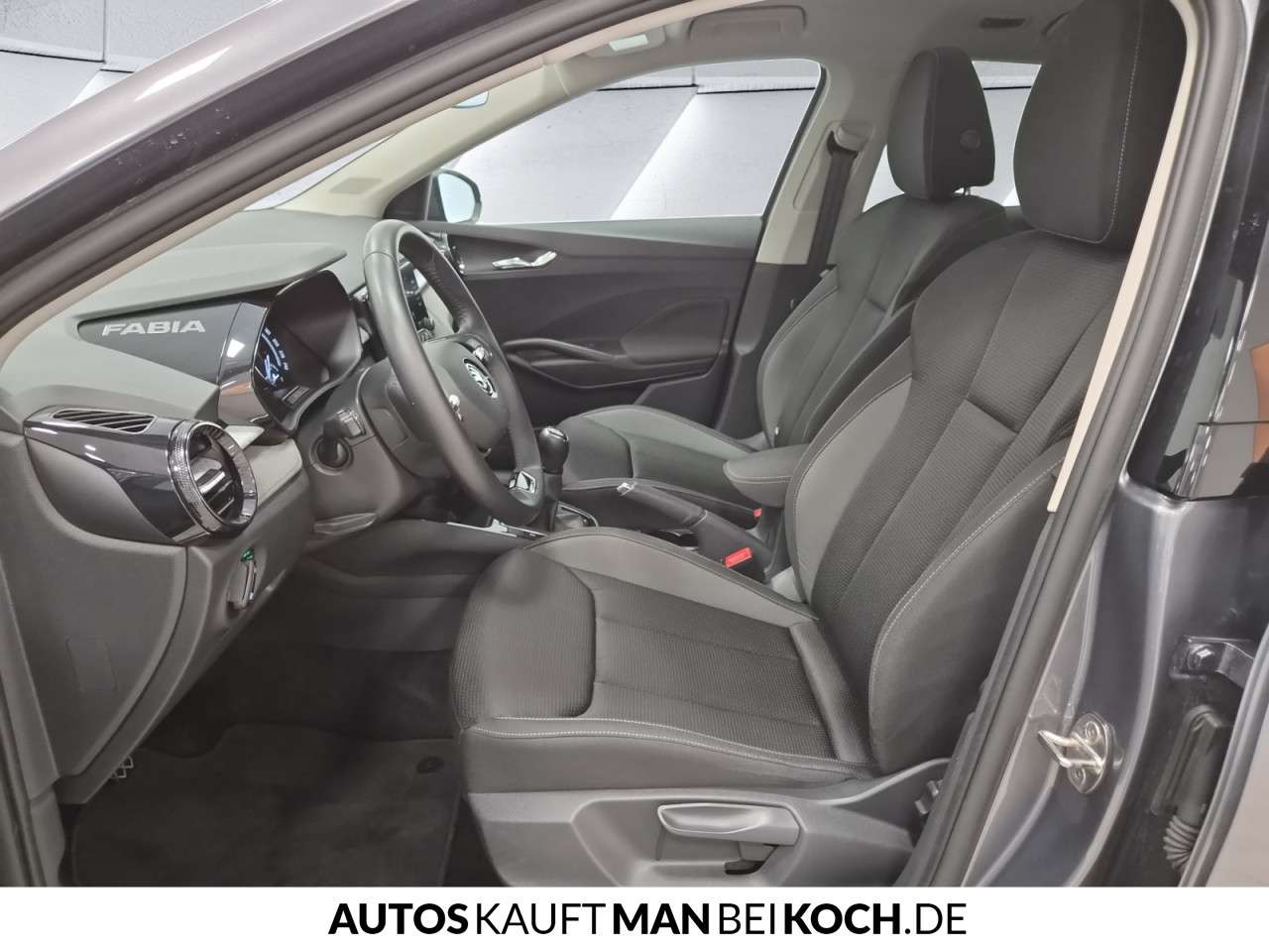 Fahrzeugbild eines Skoda Fabia