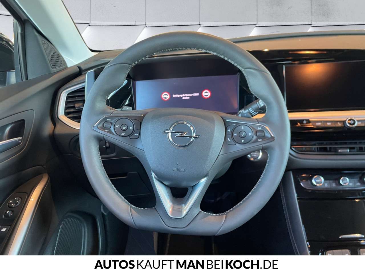Fahrzeugbild eines Opel Grandland X