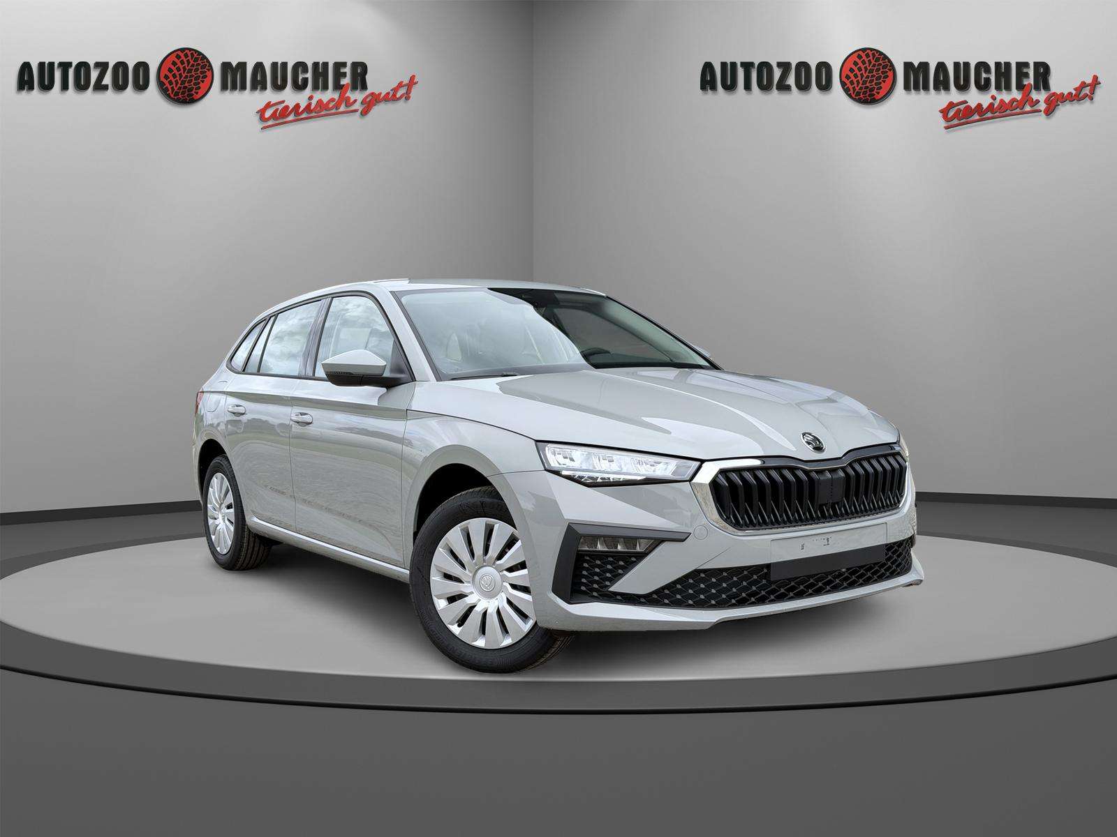 Fahrzeugbild eines Skoda Scala