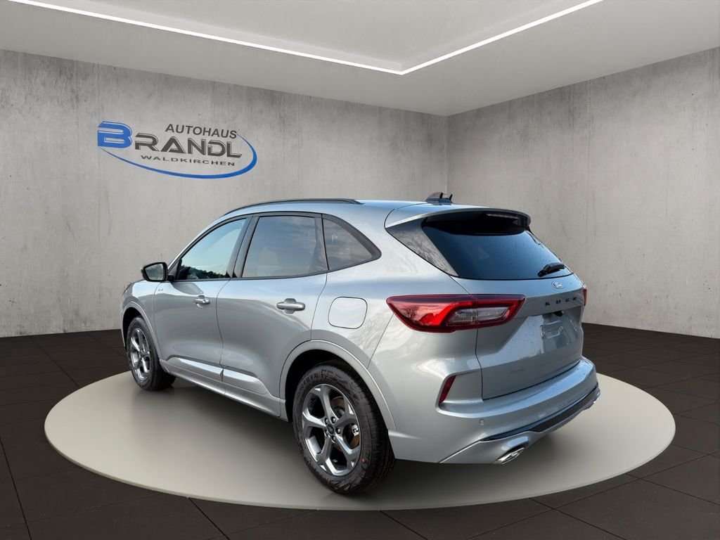 Fahrzeugbild eines Ford Kuga
