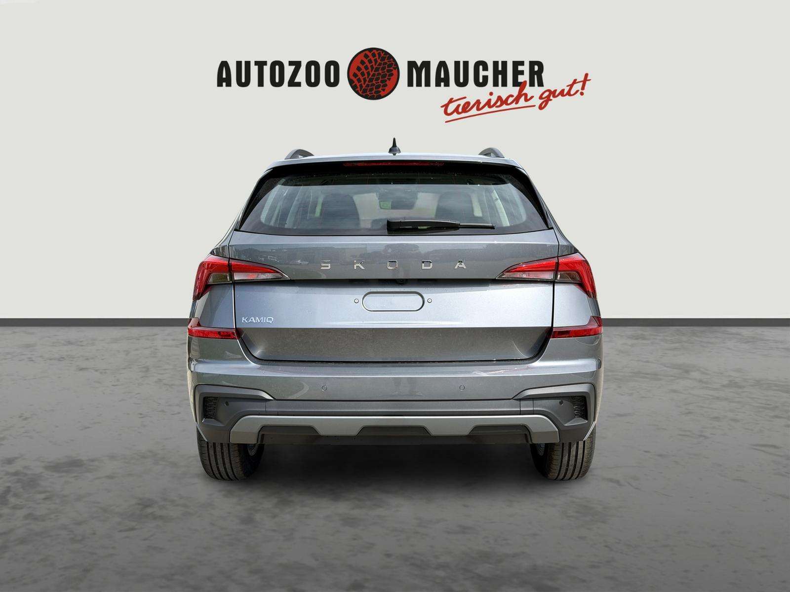 Fahrzeugbild eines Skoda Kamiq