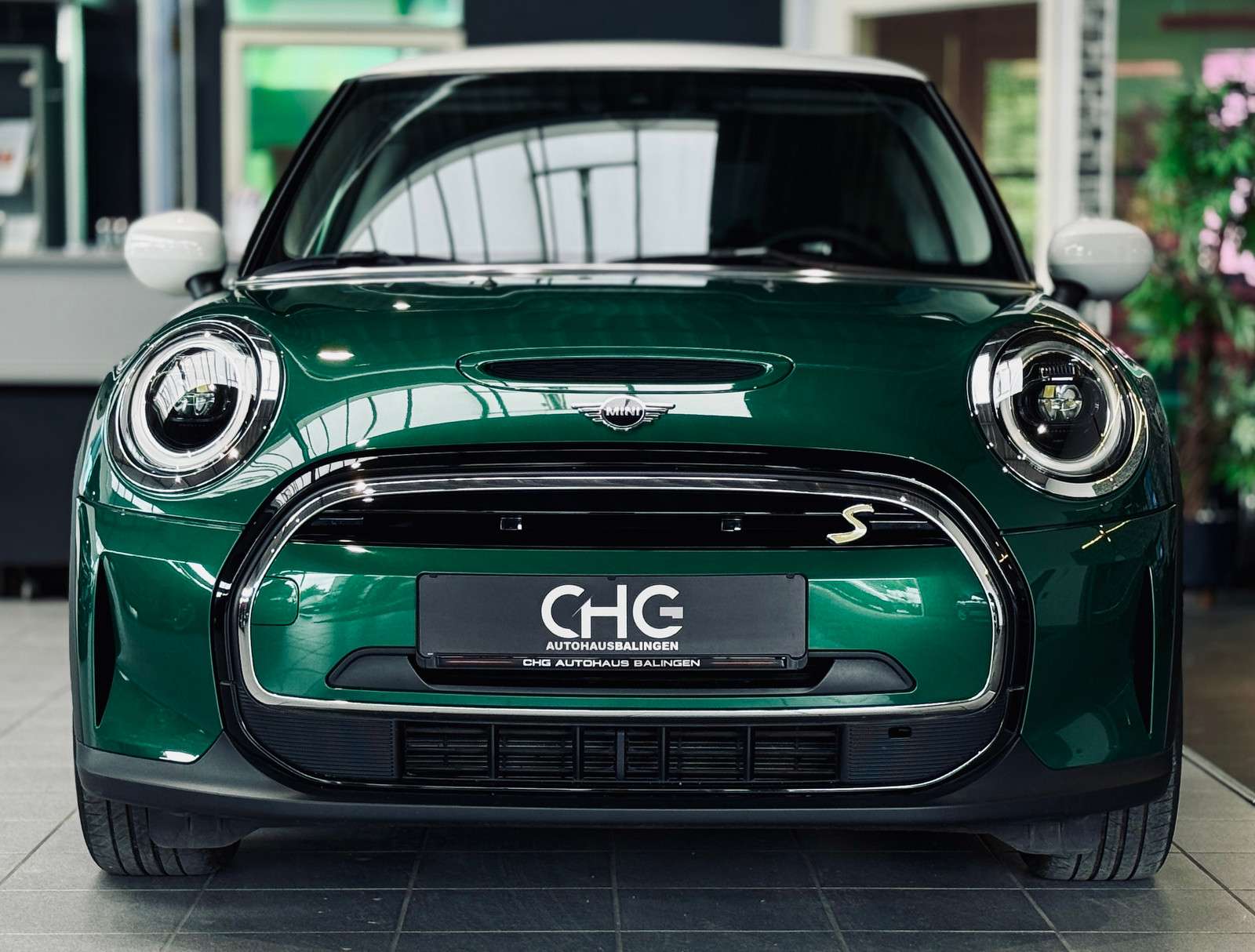 Fahrzeugbild eines MINI COOPER