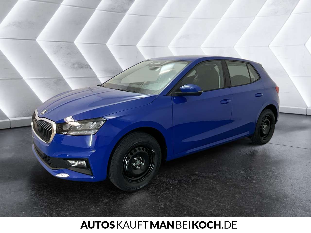 Fahrzeugbild eines Skoda Fabia