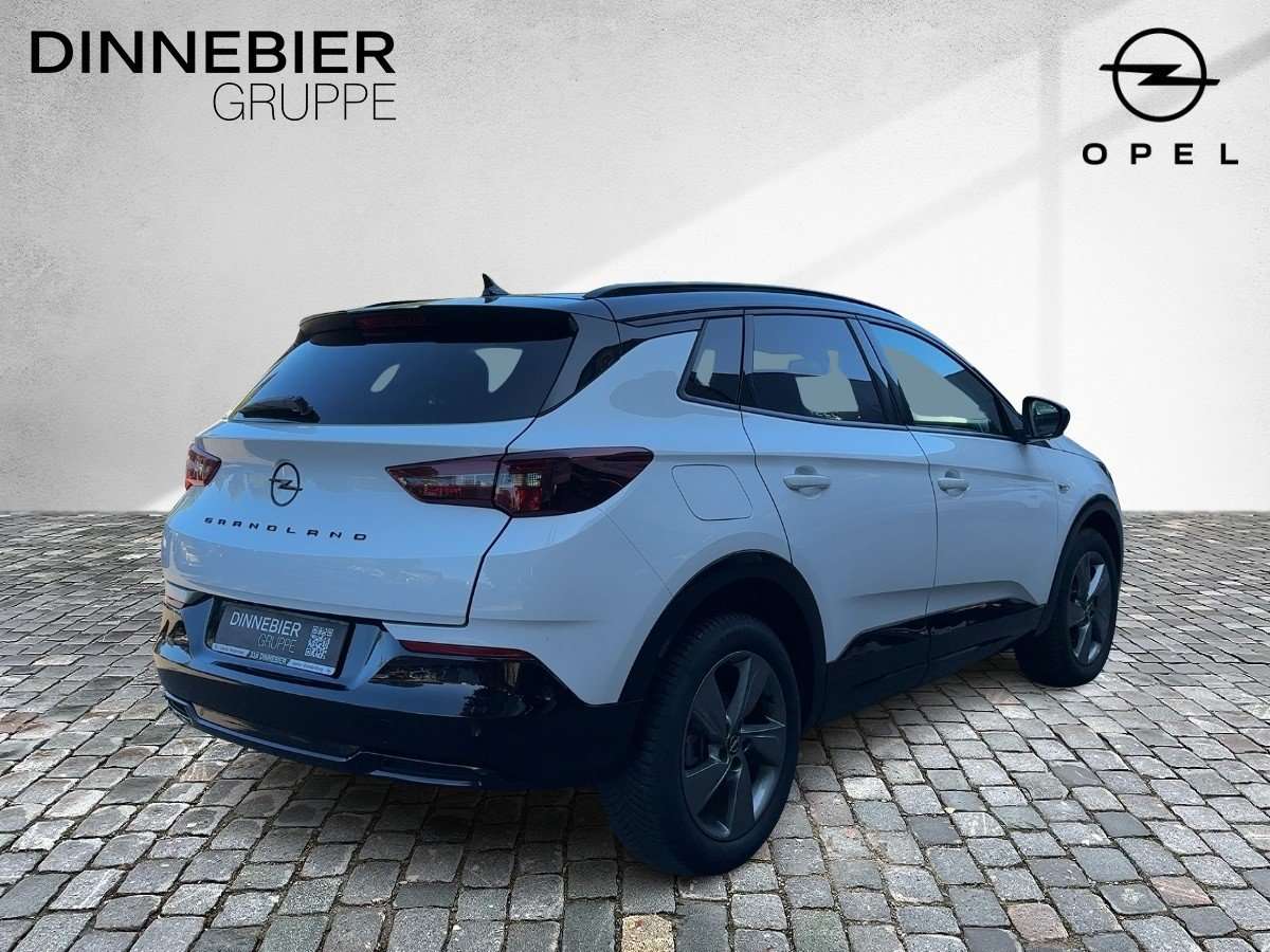 Fahrzeugbild eines Opel Grandland X