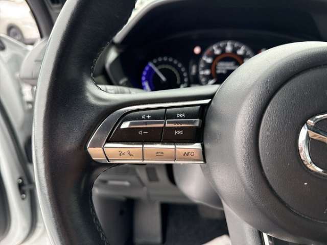 Fahrzeugbild eines Mazda MX-30