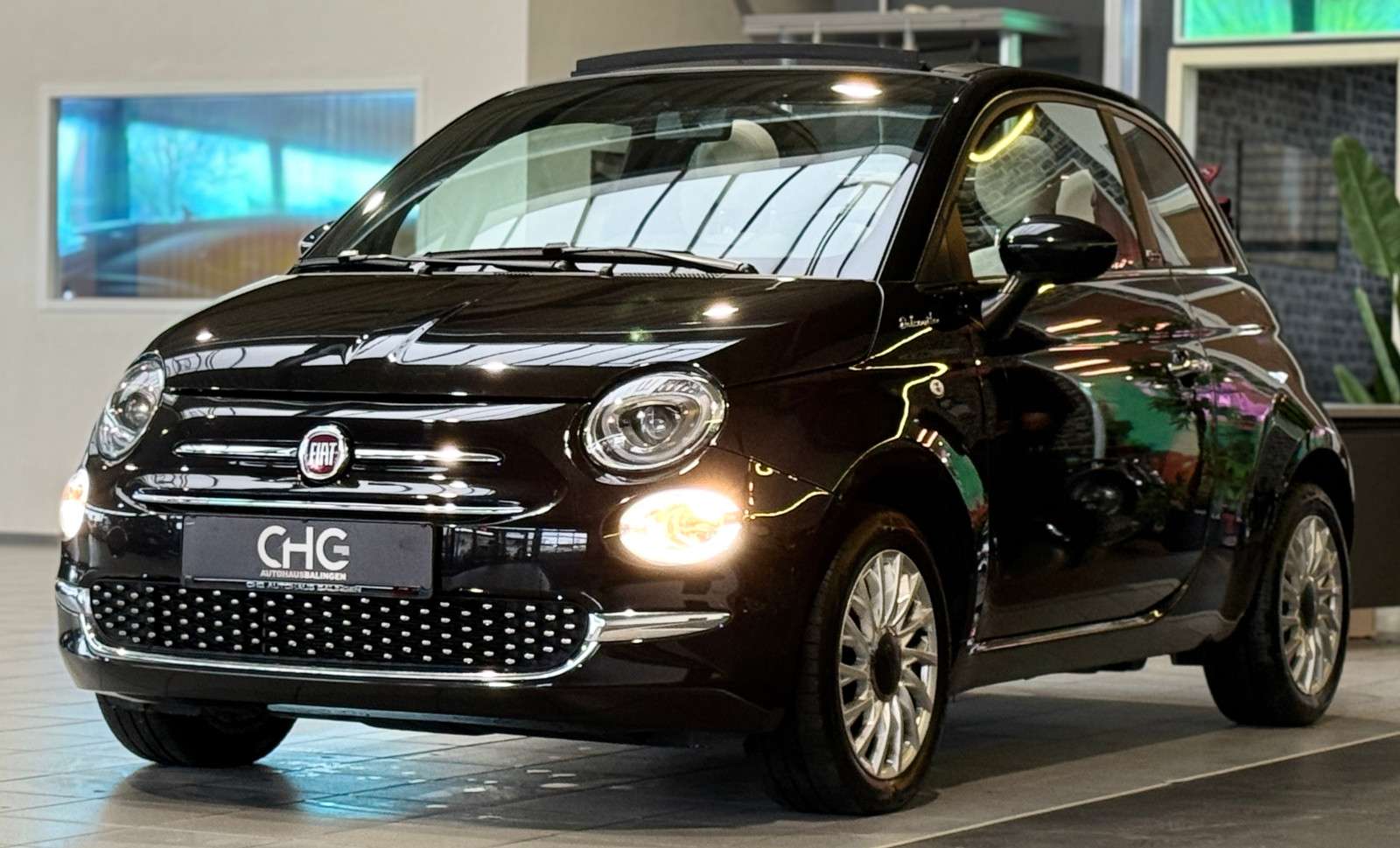 Fahrzeugbild eines Fiat 500
