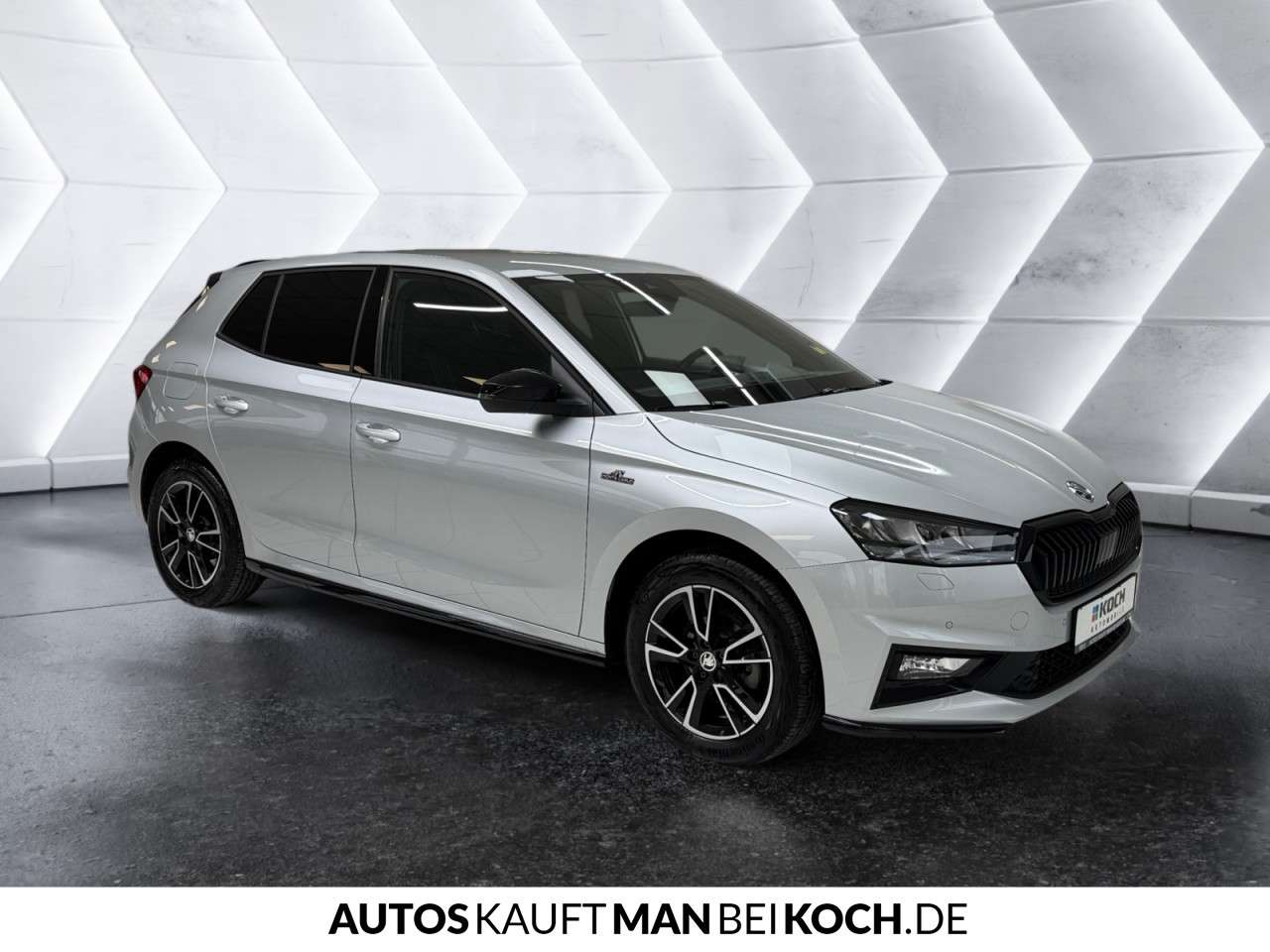 Fahrzeugbild eines Skoda Fabia