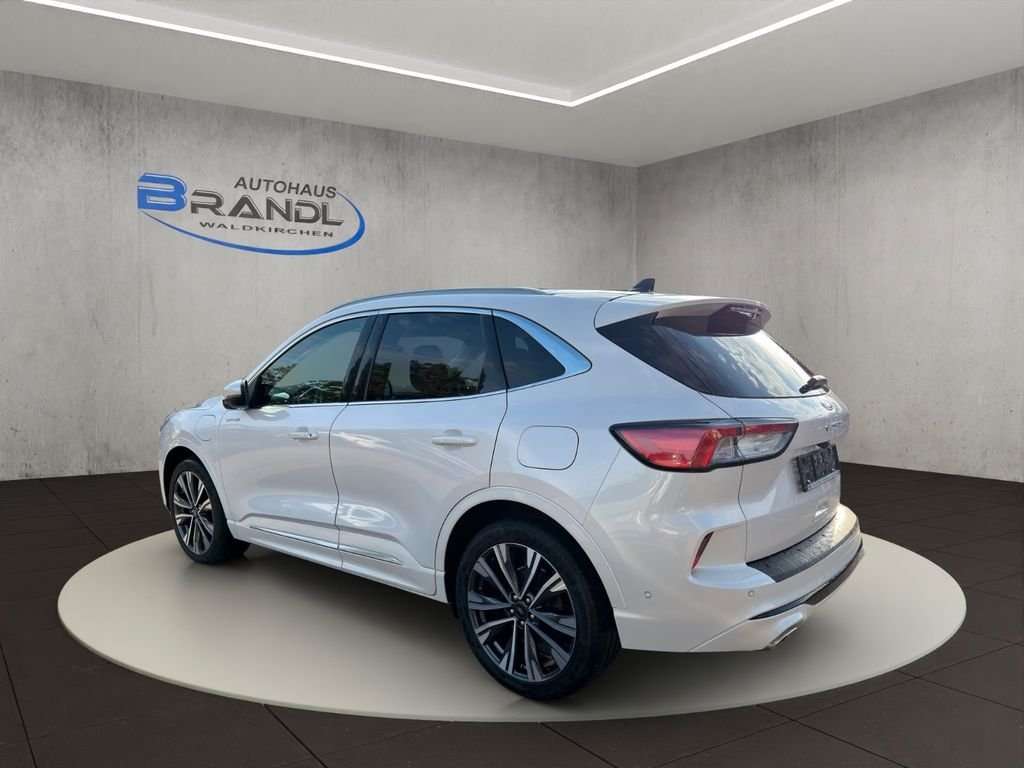 Fahrzeugbild eines Ford Kuga