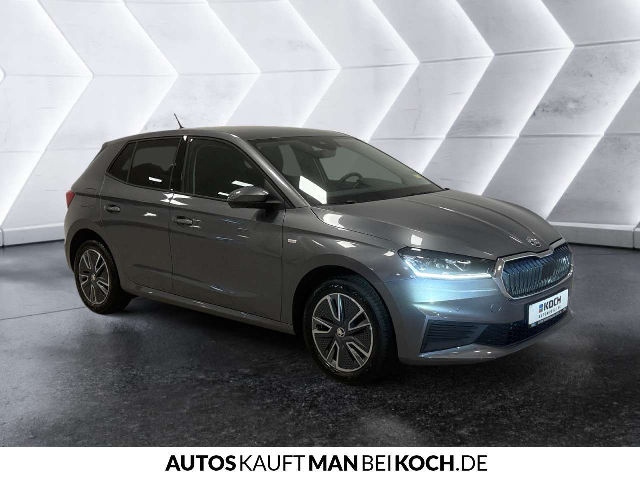 Fahrzeugbild eines Skoda Fabia