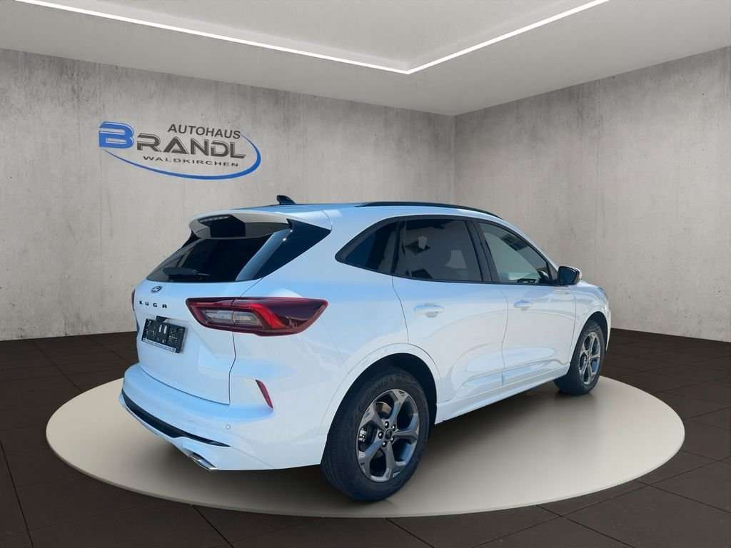 Fahrzeugbild eines Ford Kuga