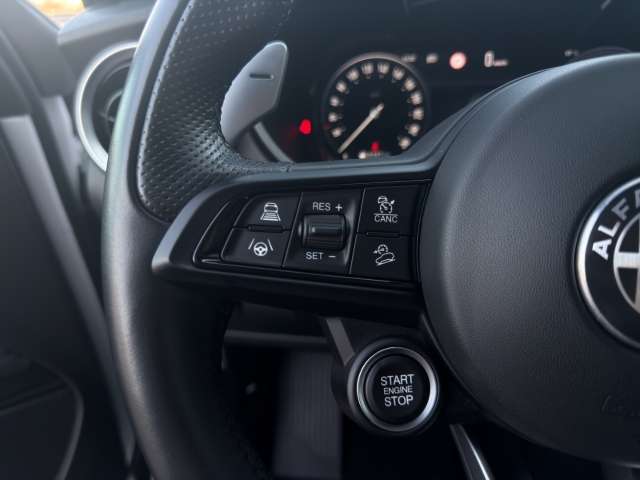 Fahrzeugbild eines Alfa Romeo Stelvio