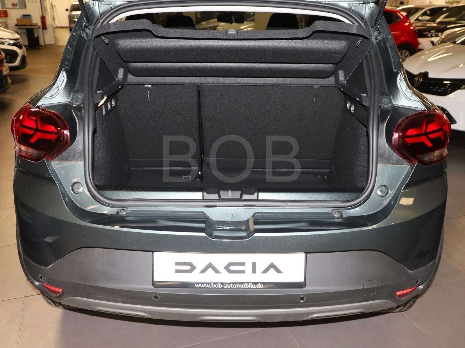 Fahrzeugbild eines Dacia Sandero