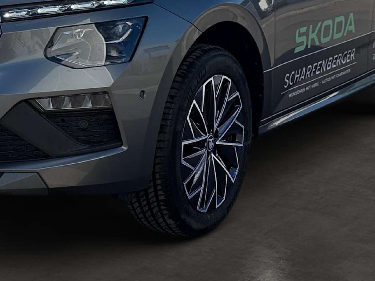 Fahrzeugbild eines Skoda Kamiq