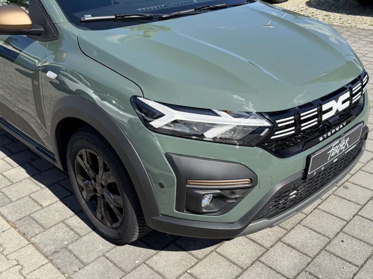 Fahrzeugbild eines Dacia Sandero