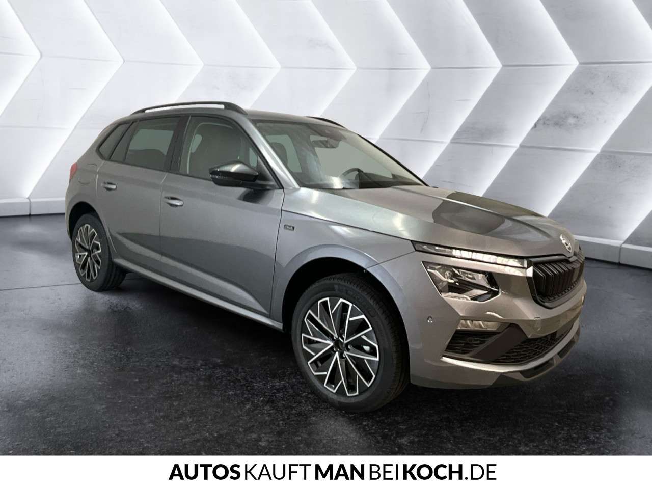 Fahrzeugbild eines Skoda Kamiq