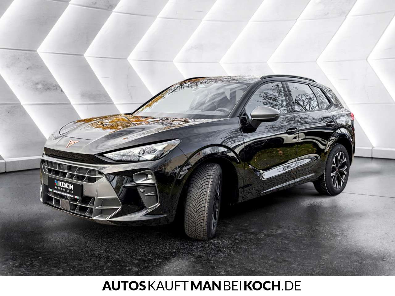 Fahrzeugbild eines CUPRA Terramar