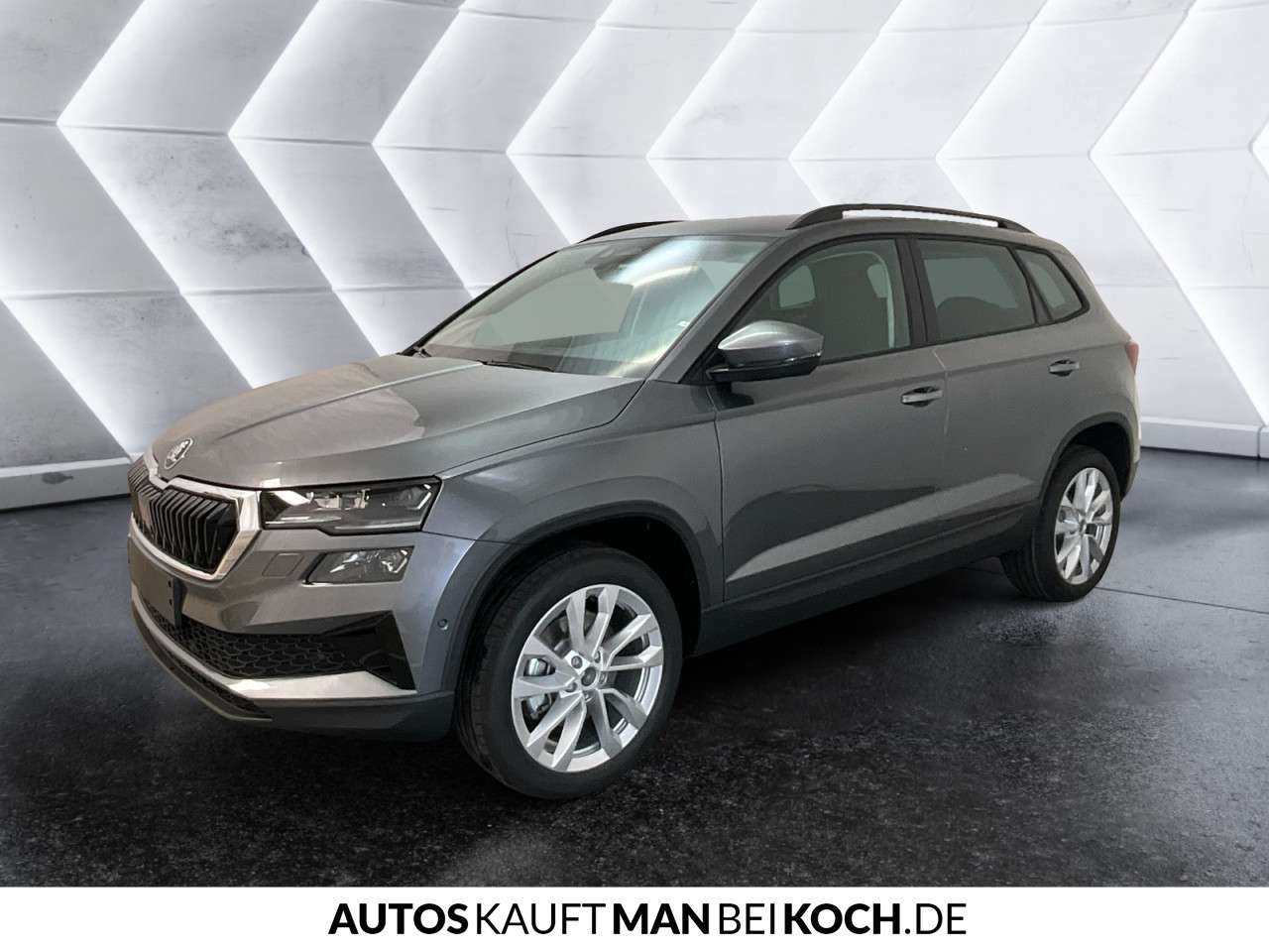 Fahrzeugbild eines Skoda Karoq