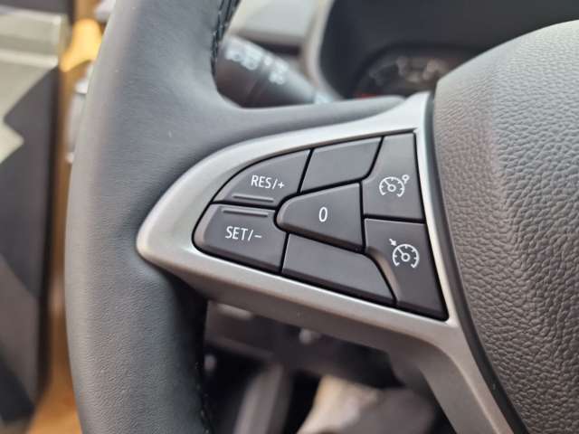 Fahrzeugbild eines Dacia Sandero