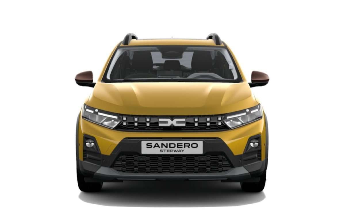 Fahrzeugbild eines Dacia Sandero