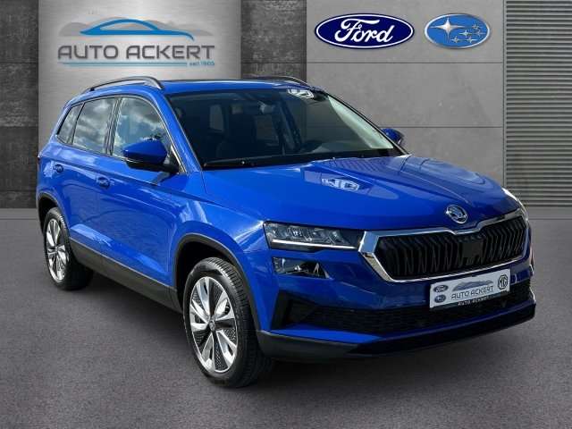 Fahrzeugbild eines Skoda Karoq