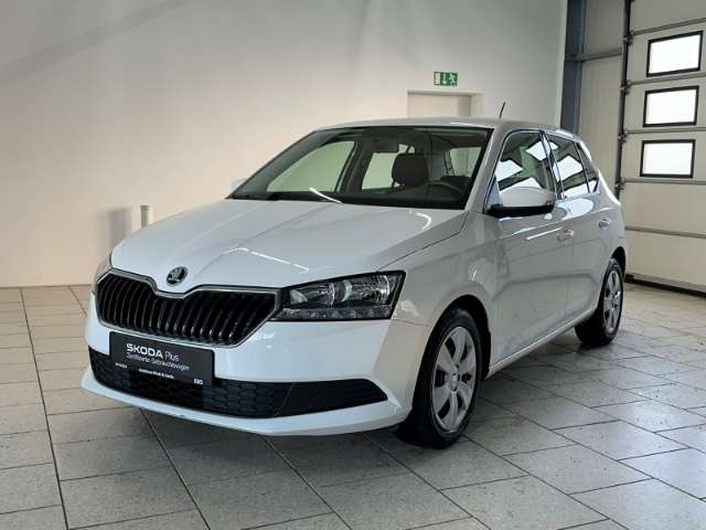 Fahrzeugbild eines Skoda Fabia