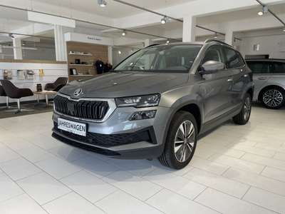Bild Skoda Karoq
