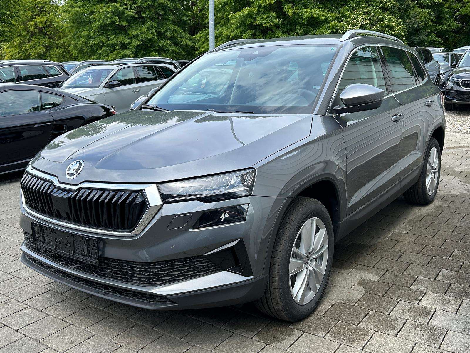 Fahrzeugbild eines Skoda Karoq