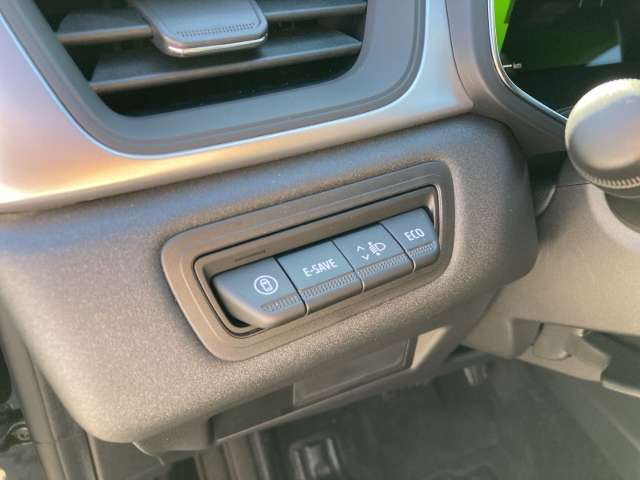 Fahrzeugbild eines Renault Symbioz