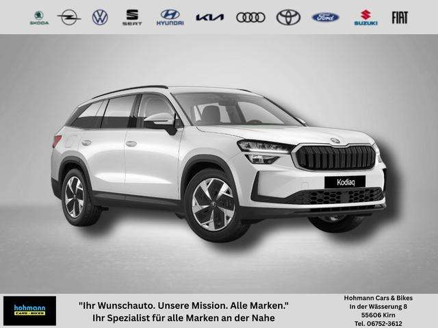 Fahrzeugbild eines Skoda Kodiaq