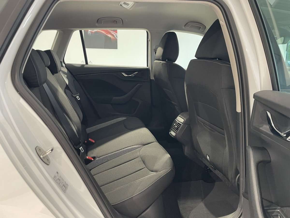 Fahrzeugbild eines Skoda Kamiq
