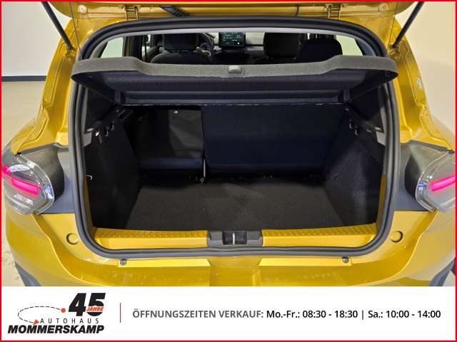 Fahrzeugbild eines Dacia Sandero