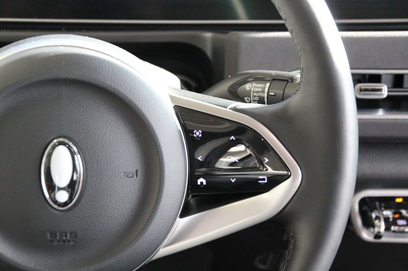 Fahrzeugbild eines GWM Ora 03